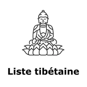 Les pierres de protection de naissance dans la culture tibétaine